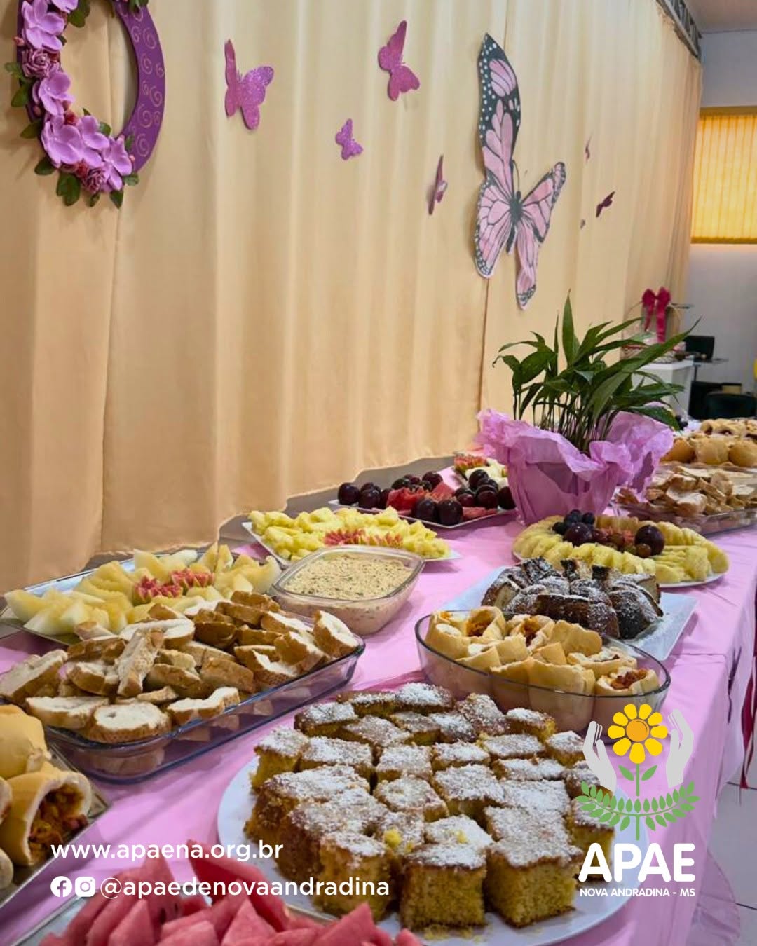 banner-celebracao-do-dia-internacional-da-mulher-na-apae-de-nova-andradina-21032026